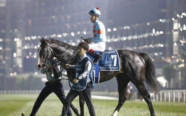 上半期の総決算・宝塚記念にイクイノックスが登場/今週の競馬界の見どころ