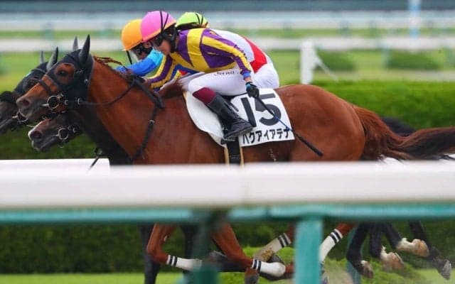 【阪神1R】今村聖奈が騎乗停止明け初勝利…ハクアイアテナで接戦を制する