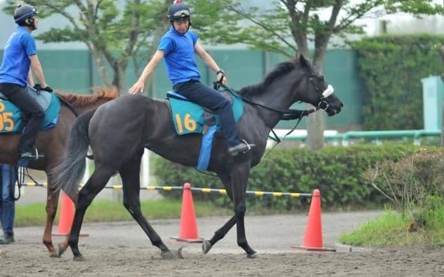 超抜時計で追い切り消化 調教師も認める素質馬ルージュスエルテ/関東馬メイクデビュー情報