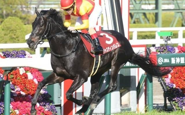 【AI予想・宝塚記念】イクイノックスは圏外で波乱必至!? 春のグランプリで人工知能が高評価を与えた本命候補3頭とは