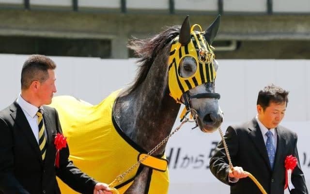 21年のJBCクラシック覇者 21日の船橋競馬で誘導馬デビュー
