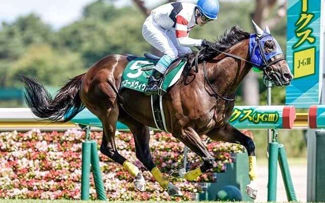 【東京ジャンプS想定騎手】ホッコーメヴィウスは黒岩悠騎手、ロードアクアは難波剛健騎手