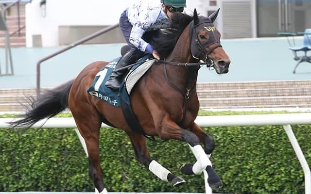 GIウイナーの億超えホースが宝塚記念参戦 相性良き阪神コースで好走なるか