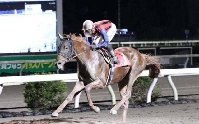 【高知・土佐寒蘭特別】吉原寛「反応非常に良かった」ユメノホノオが8馬身差V