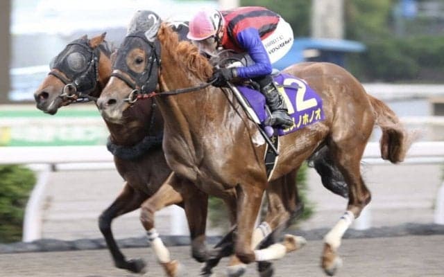 【高知・黒潮皐月賞】ユメノホノオvsデステージョの一騎打ち！破竹の6連勝でユメノホノオに軍配…高知クラシック初戦