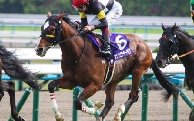 前走2桁着順からの宝塚制覇は？ GI馬3頭がオルフェーヴルに続く激変Vに挑む