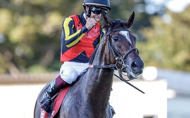 GI・7勝の母が2度敗れた舞台 女王になった孝行娘が宝塚記念で借りを返す