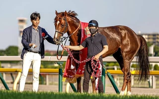 オルフェなど宝塚記念3勝の池江泰寿師 今年は鳴尾記念覇者で歴代最多勝記録狙う