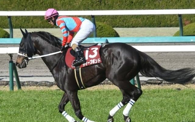 【宝塚記念展望】上半期の総決算、上がりが掛かりスタミナが要求される