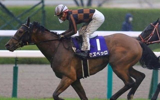 3年前に12番人気で3着激走 現役屈指の“重馬場巧者”が再び波乱巻き起こすか