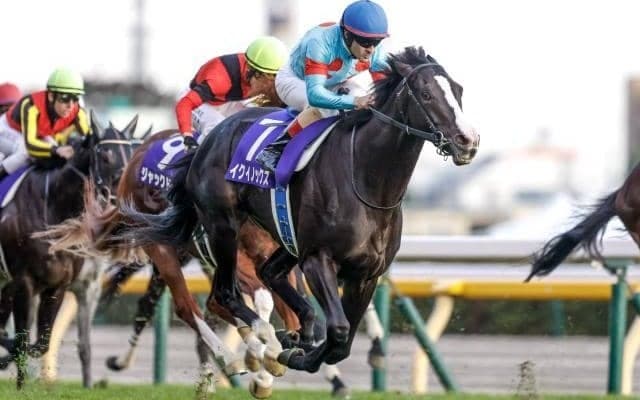 【宝塚記念予想オッズ】イクイノックスが予想1番人気