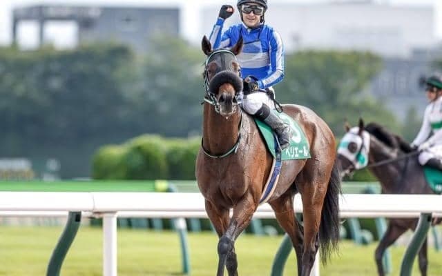 連対率36.7％と驚異的な相性 東京ダート1600mに向くヘニーヒューズ×フジキセキの配合