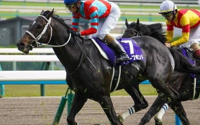 積み上げた賞金は6億4591万3800円 宝塚記念でつかむか初GIタイトル