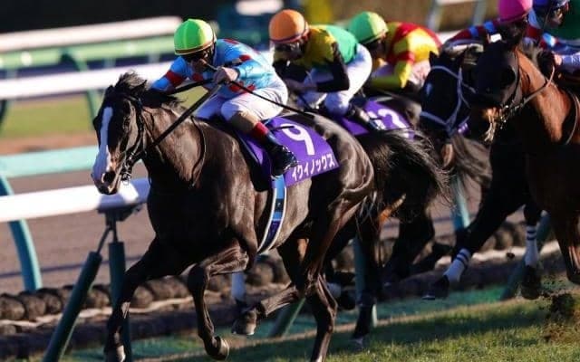 父キタサンブラックが2度涙を呑んだ宝塚記念 世界ランキング1位の走りで雪辱へ