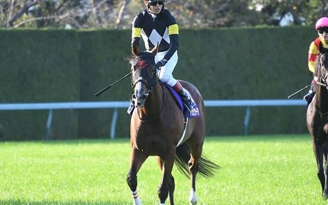 1億8700万円馬が復活誓う オルフェ・ゴルシらに続く前年菊花賞馬の宝塚記念Vへ