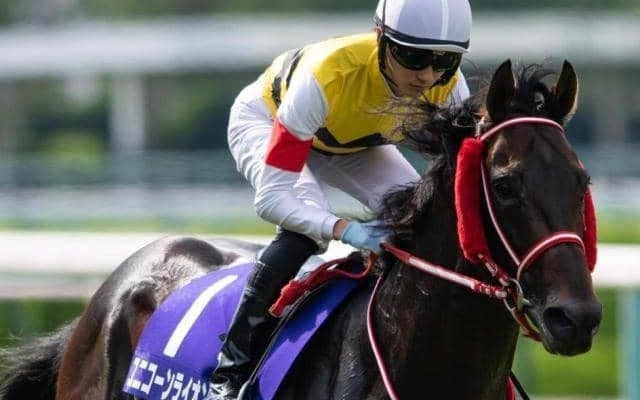 タップダンスシチー以来19年ぶりの外国産馬Vへ 宝塚記念で一昨年のリベンジだ