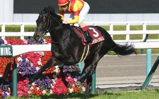 【宝塚記念予想】穴党AIがまさかの「波乱なし」 指名馬を近年データから徹底解剖