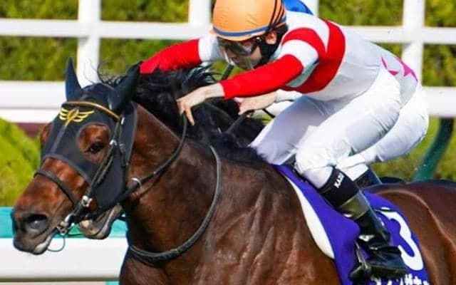 【宝塚記念】阪神で複勝率100％のダノンザキッド 好配当の使者になるか