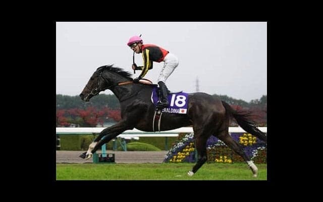 宝塚記念は５歳牝馬の２頭が推し 2200ｍのスペシャリスト、レースと縁深い「格下馬」に注目