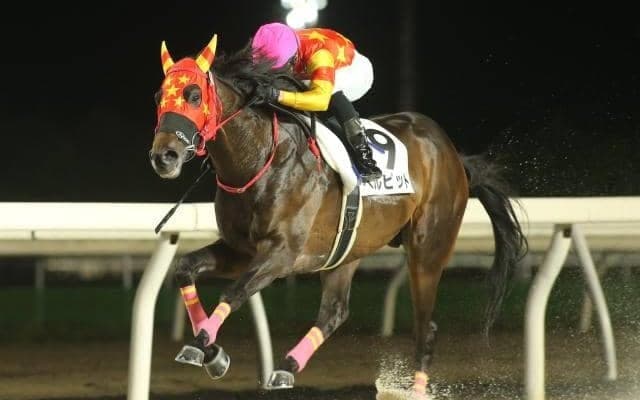 各地のダービー勝ち馬7頭のうち5頭が日高生産馬 決して高額落札馬ではない馬が頂点に