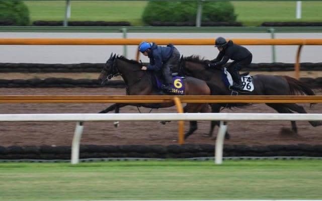 ジェラルディーナ、宝塚記念最終追い切り速報/栗東トレセンニュース