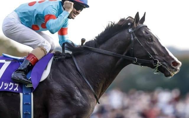【宝塚記念枠順確定】イクイノックスは3枠5番、ジャスティンパレスは5枠9番