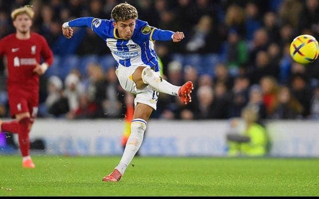 ブライトンがエクアドル代表FWサルミエントと新契約締結！　来季本格ブレイク期待される逸材