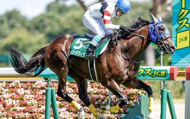 【東京ジャンプS出走馬・騎手確定】ホッコーメヴィウス＆黒岩悠騎手、ロードアクア＆難波剛健騎手など12頭