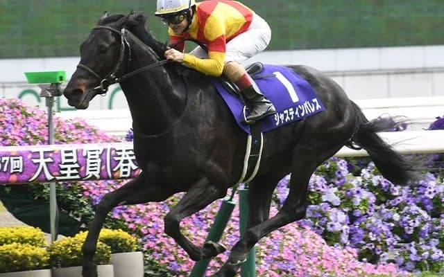 【宝塚記念・調教後馬体重】ジャスティンパレスは474kg、イクイノックスは492kg