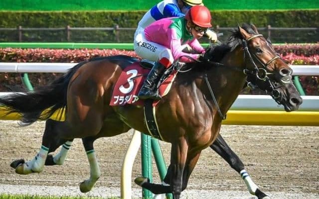 伏兵での一発はお手の物!? 菱田裕二騎手がプラダリアでJRA・GI初制覇狙う