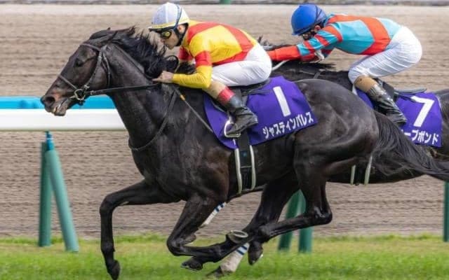 ディープ牡駒は21頭挑戦も未勝利 鬼門の宝塚記念に挑む今年の3頭