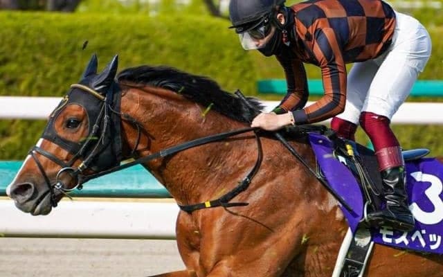 8枠は宝塚記念“超好成績”枠 今年のピンク帽の顔ぶれは…