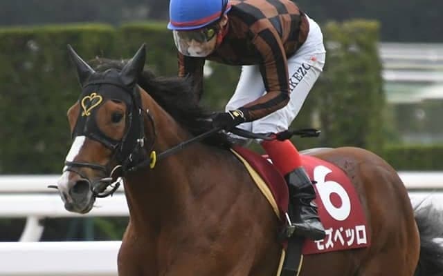 現役屈指の“道悪巧者” 宝塚記念でGI初制覇を狙う