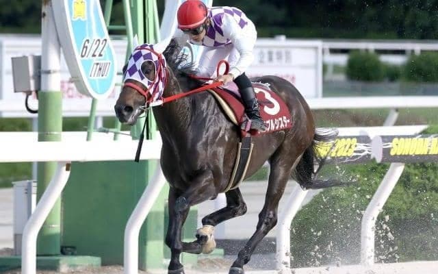 【園田・園田FCスプリント結果】メイプルシスターが逃げ切って重賞初制覇