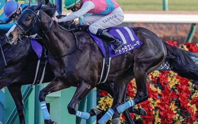 阪神芝2200mはドゥラメンテ産駒が買い！ 宝塚記念は斤量53kgの注目株が参戦