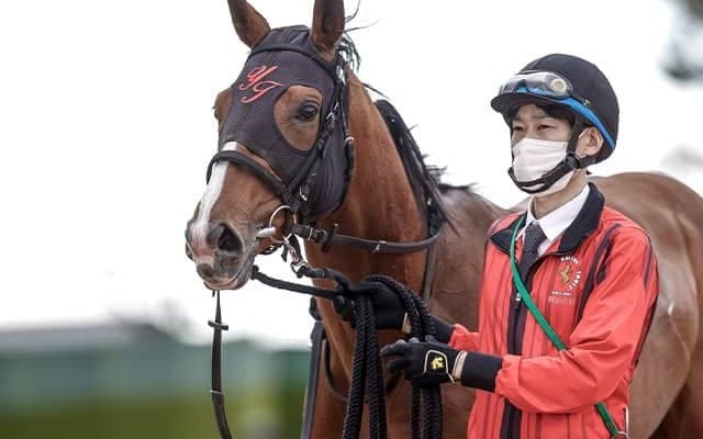 宝塚記念17頭の“香港馬名”を紹介「北島名花」や「一勝再勝」はどの馬？