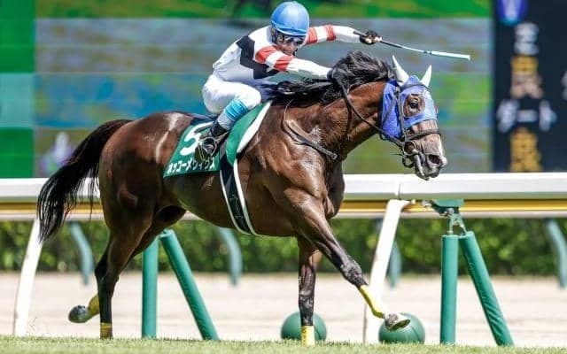 【東京JS枠順確定】ホッコーメヴィウスは7枠10番、ロードアクアは5枠5番