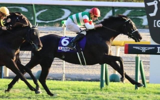 史上初！前走ダートからの宝塚制覇なるか GI馬2頭が“歴史的1勝”に挑戦