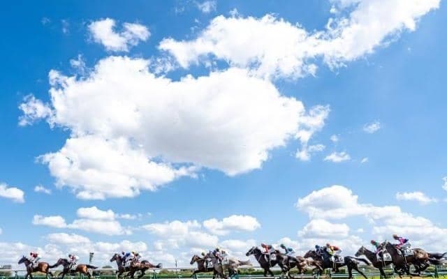 中山競馬場がメタバース空間に登場！「バーチャルマーケット2023 Summer」に出展