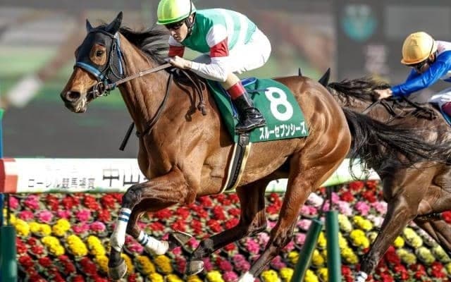 秋は凱旋門賞挑戦も 池添謙一騎手の手綱で宝塚記念の父娘制覇狙う