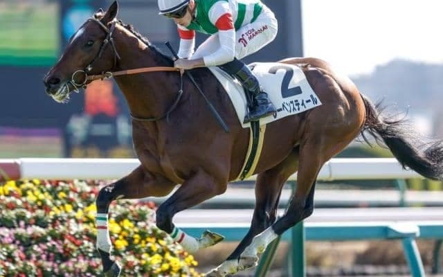 【ラジオNIKKEI賞想定馬・騎手】レーベンスティール、バルサムノートなど18頭