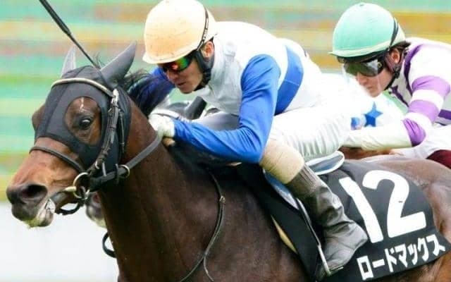 道悪濃厚の函館芝 メインはパワー型ディープ産駒のロードマックスが出番だ