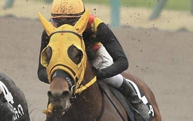 メンバー中唯一の3歳馬 末脚自慢のオーロイプラータを狙い撃ち