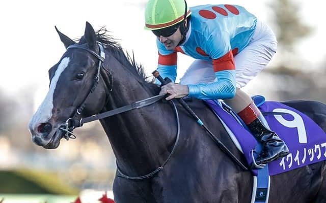 宝塚記念ファン投票1位馬 過去20年の本番での成績を探ってみた