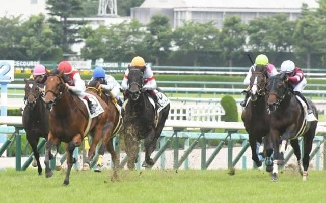 宝塚記念デーの“伝説の新馬戦”に注目 のちの重賞ウイナー多数出走