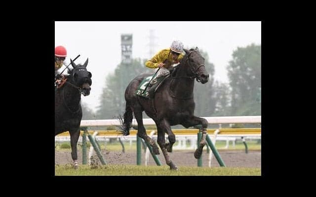 宝塚記念はイクイノックスを各馬が意識しての早仕掛けの一戦か　タフな展開のなかで浮上する大穴とは？