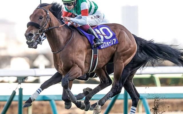 【宝塚記念予想】勝率「0％」!? イメージと異なる前走上がりの分岐点/岡村信将