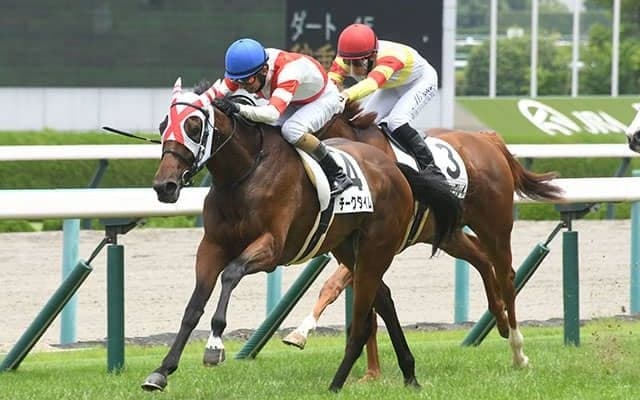 【阪神5R新馬戦結果】チークタイムが2番手から抜け出してデビュー勝ち