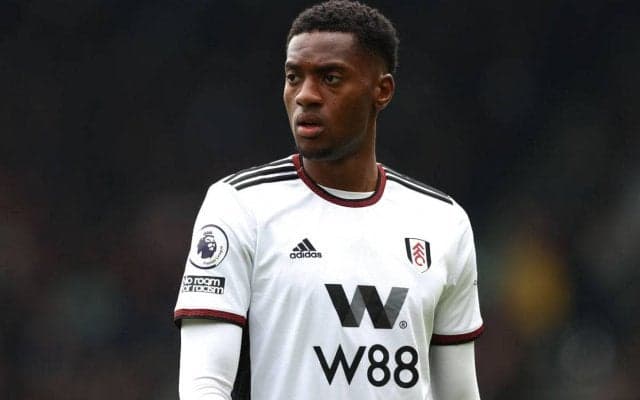 最終ラインの改善目指すトッテナム、フルアムの主力DFアダラバイヨに関心か