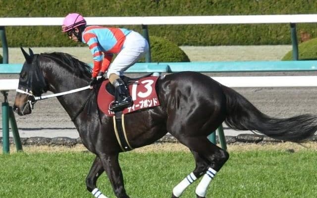 【宝塚記念予想】狙いは凡走馬!? 天皇賞(春)組が主役も鵜呑みにできない当該着順